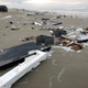 Image for article titled Photos: What happens when a cargo ship loses 270 containers at sea